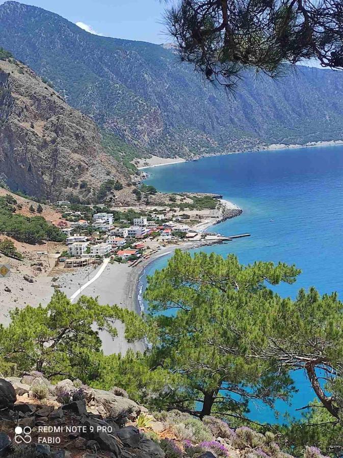 Zorbas Studios Agia Roumeli Exterior photo